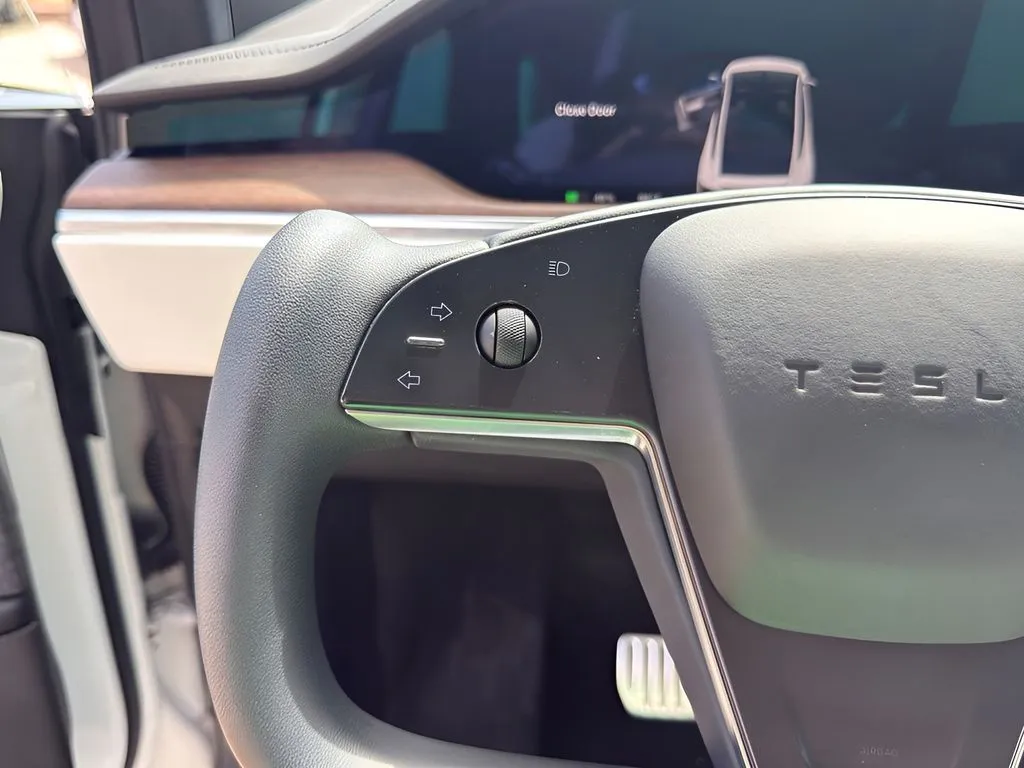 Tesla Model X photo 19