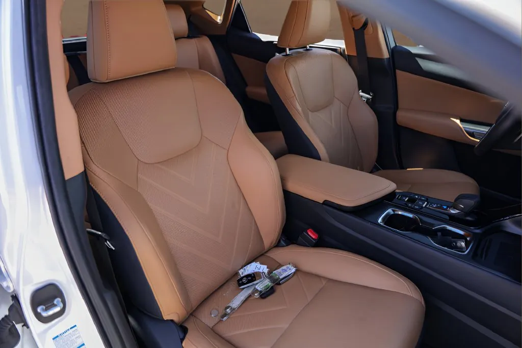 Lexus NX photo 31