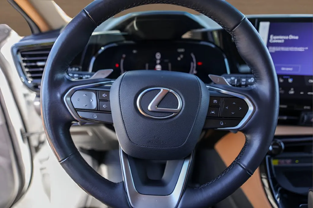 Lexus NX photo 12