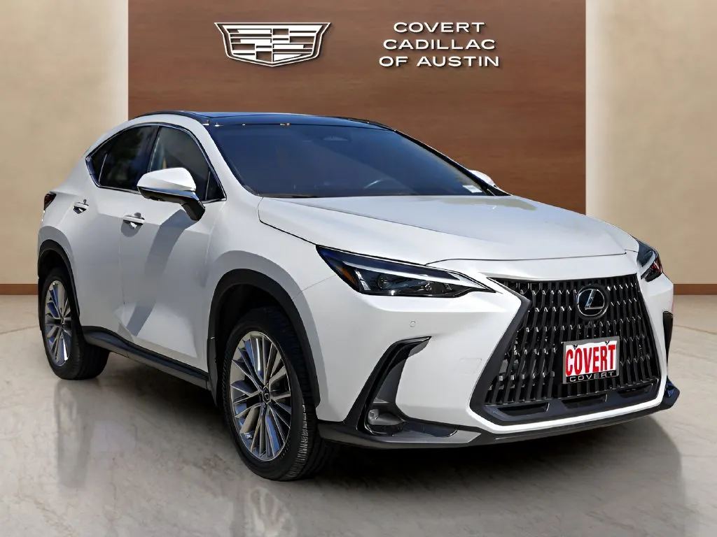 Lexus NX photo 6