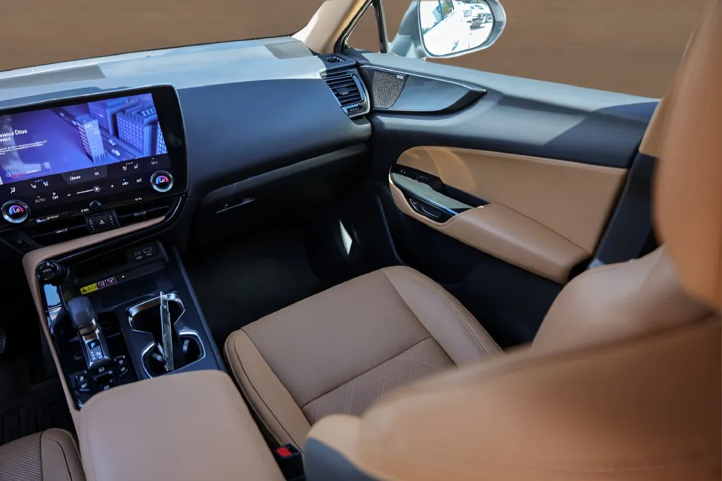 Lexus NX photo 28