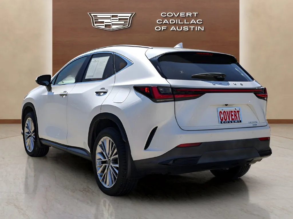 Lexus NX photo 3