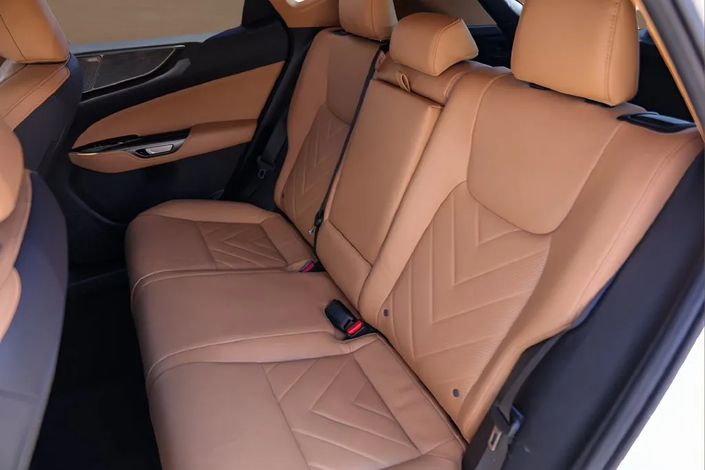 Lexus NX photo 25