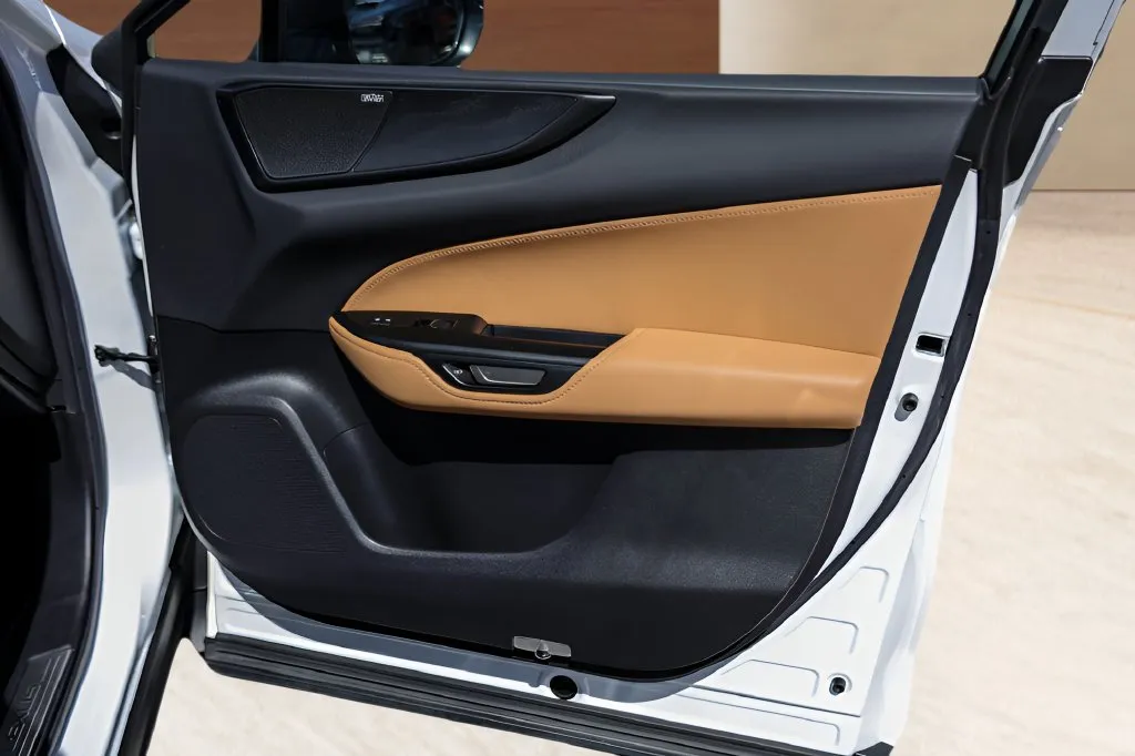 Lexus NX photo 29