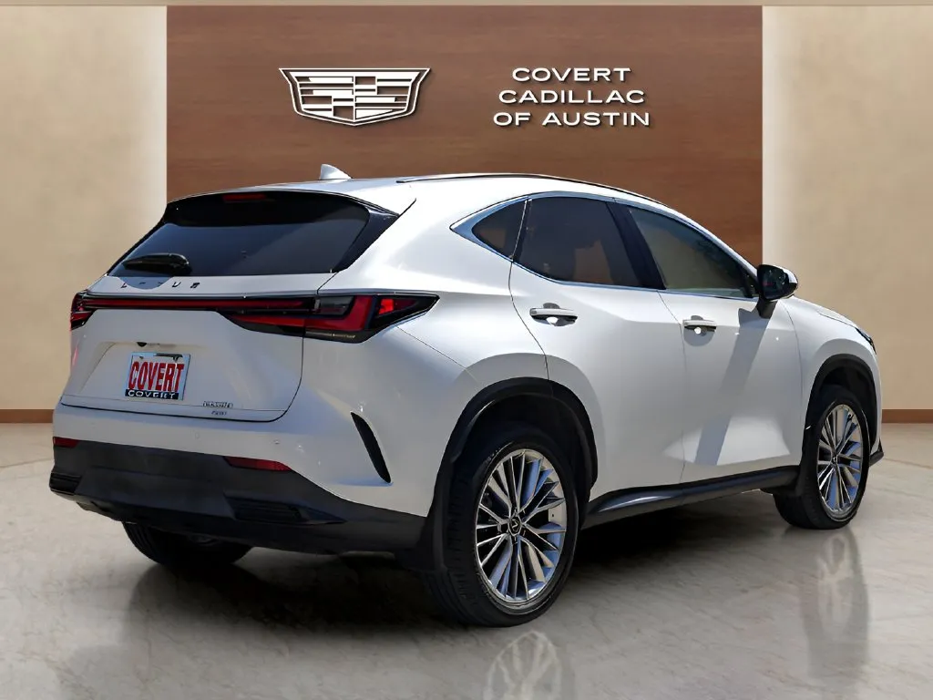 Lexus NX photo 4