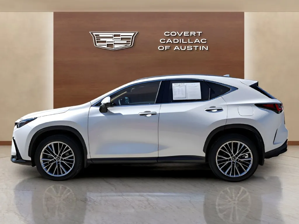 Lexus NX photo 2
