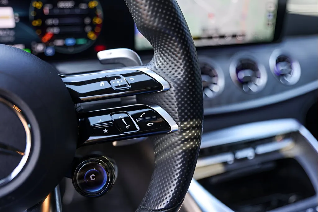 Mercedes-Benz AMG GT 53 photo 13