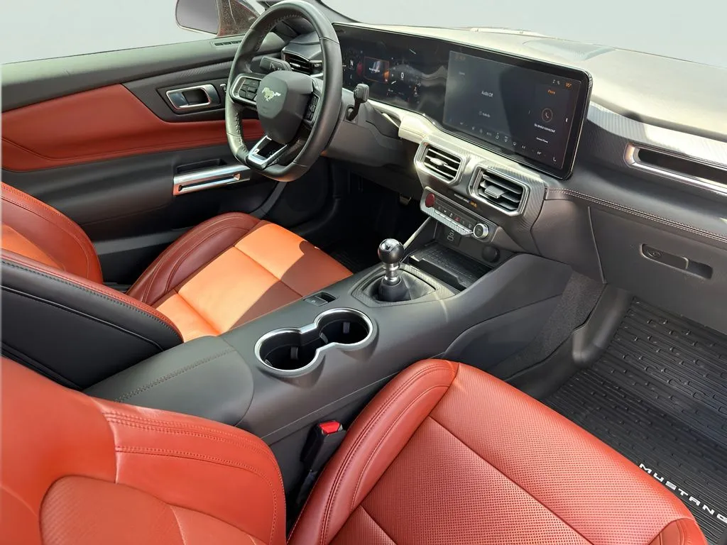 Ford Mustang photo 22