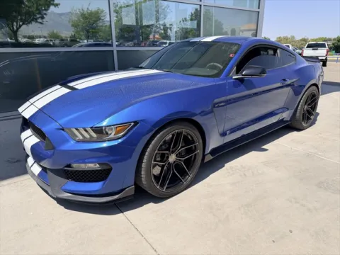 More photos of 2017 Ford Mustang Shelby GT350 at Truck Solutions NM, NM