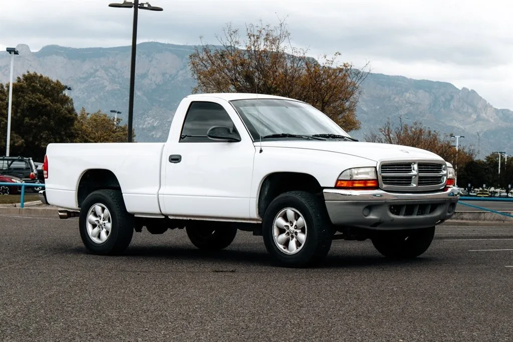 White 2004 Dodge Dakota SLT for sale in Albuquerque, NM
