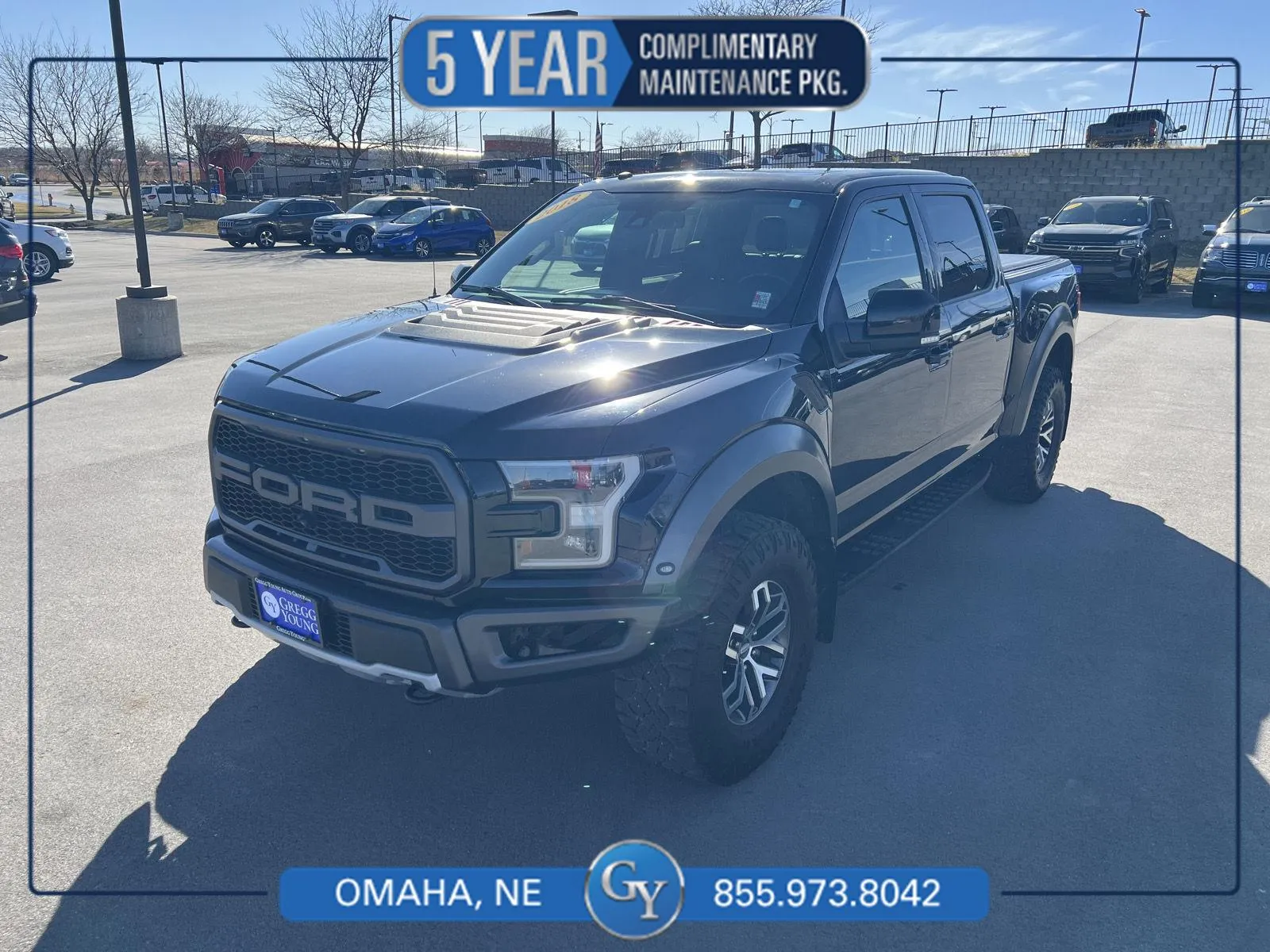 Black 2018 Ford F-150 Raptor for sale in Omaha, NE