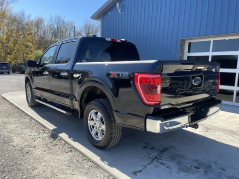 More photos of 2023 Ford F-150 XLT at Chillicothe Truck, OH