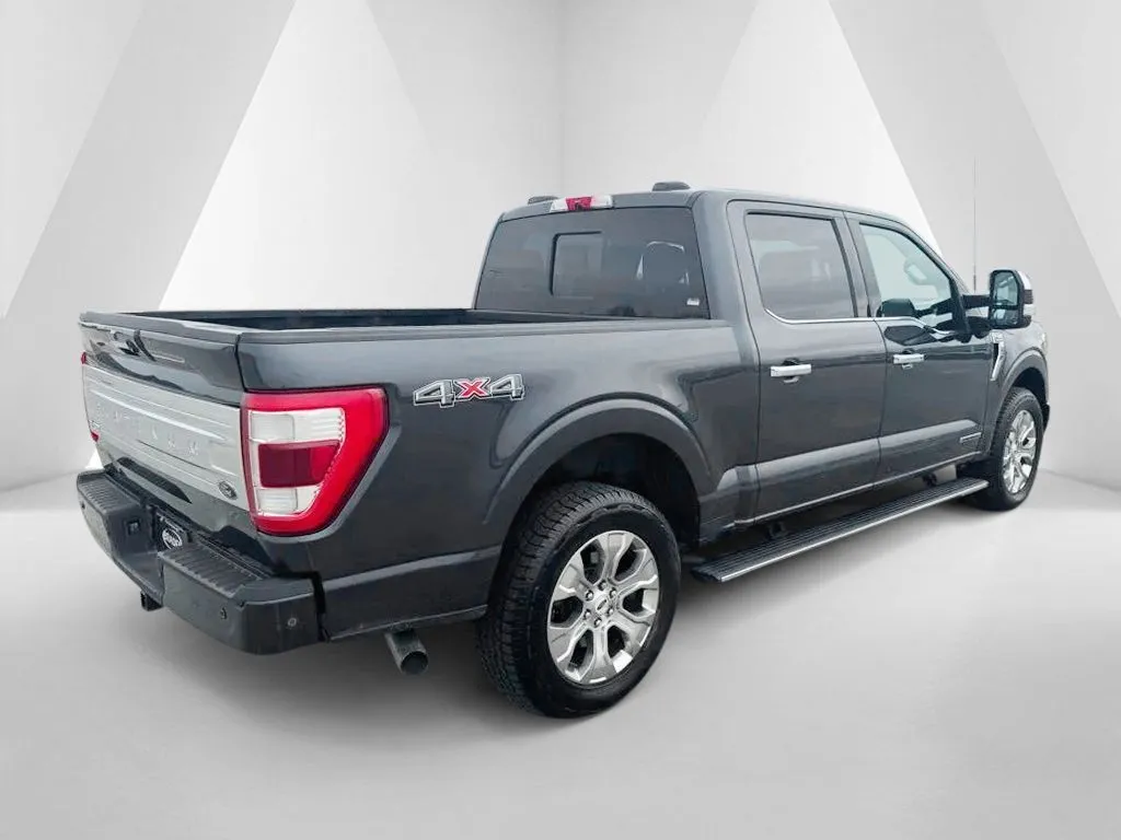 2021 Ford F-150 Platinum - Photo 7
