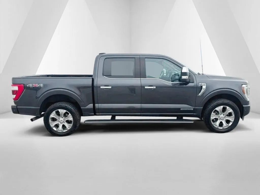 2021 Ford F-150 Platinum - Photo 8