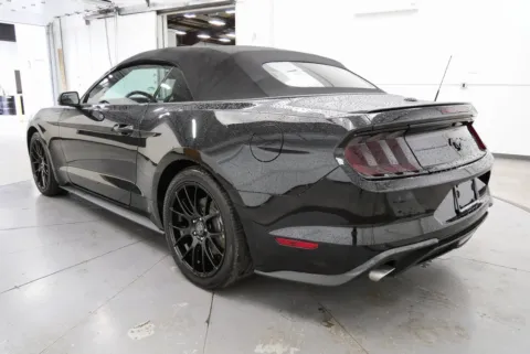 More photos of 2020 Ford Mustang EcoBoost Premium at Chillicothe Truck, OH
