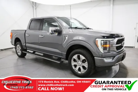 Gray 2021 Ford F-150 Platinum for sale in Chillicothe, OH