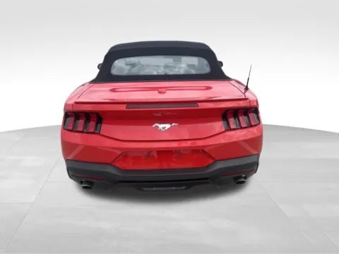 More photos of 2025 Ford Mustang EcoBoost Premium at Gregg Young Chevrolet of Norwalk, IA