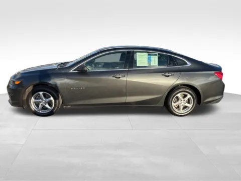 Another view of 2017 Chevrolet Malibu LS for sale in Norwalk, IA at Gregg Young Chevrolet of Norwalk