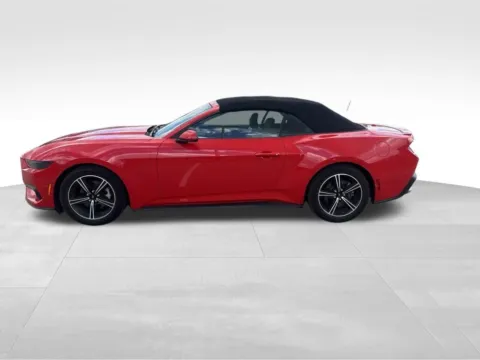 Another view of 2025 Ford Mustang EcoBoost Premium for sale in Norwalk, IA at Gregg Young Chevrolet of Norwalk