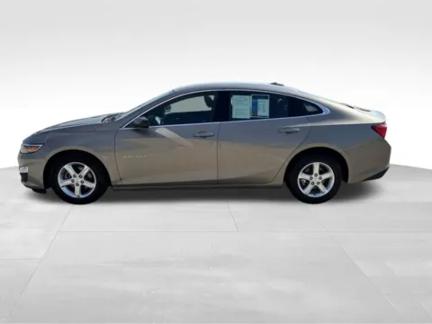 Another view of 2024 Chevrolet Malibu LT for sale in Norwalk, IA at Gregg Young Chevrolet of Norwalk