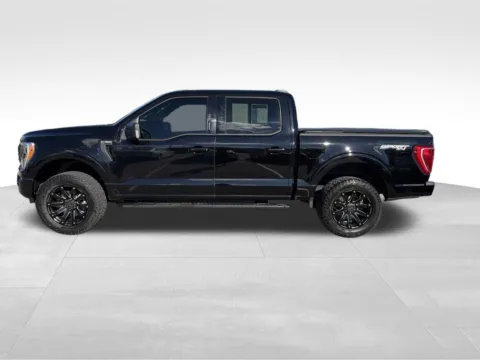 Another view of 2021 Ford F-150 XLT for sale in Norwalk, IA at Gregg Young Chevrolet of Norwalk