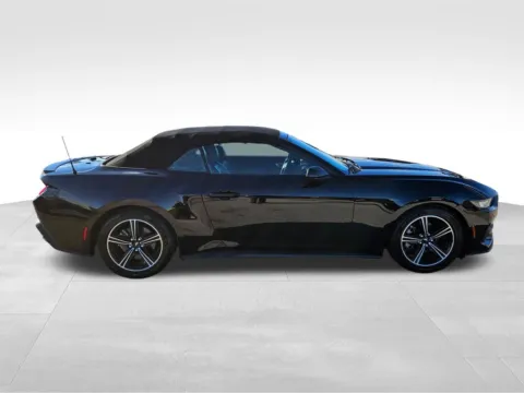 More photos of 2024 Ford Mustang EcoBoost Premium at Gregg Young of Plattsmouth, NE