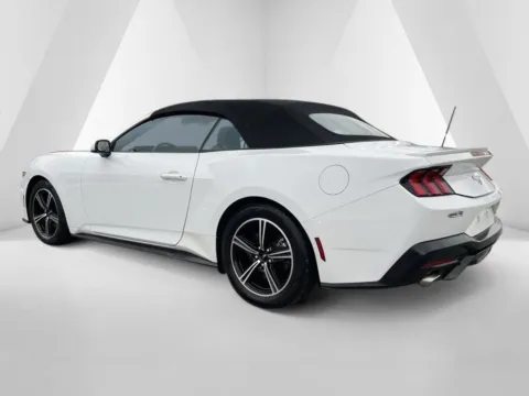 More photos of 2024 Ford Mustang EcoBoost Premium at Cambridge Truck, OH