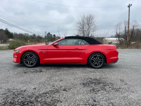 More photos of 2019 Ford Mustang GT Premium at Cambridge Truck, OH