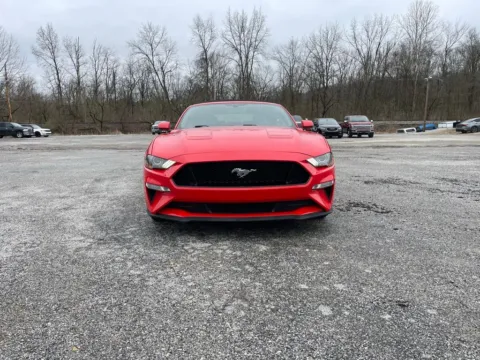 Photos of 2019 Ford Mustang GT Premium for sale in Cambridge, OH at Cambridge Truck