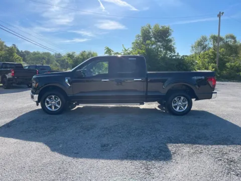 More photos of 2024 Ford F-150 XLT at Cambridge Truck, OH