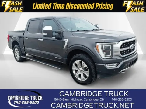 Gray 2021 Ford F-150 Platinum for sale in Cambridge, OH