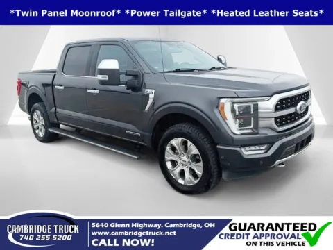 Gray 2021 Ford F-150 Platinum for sale in Cambridge, OH