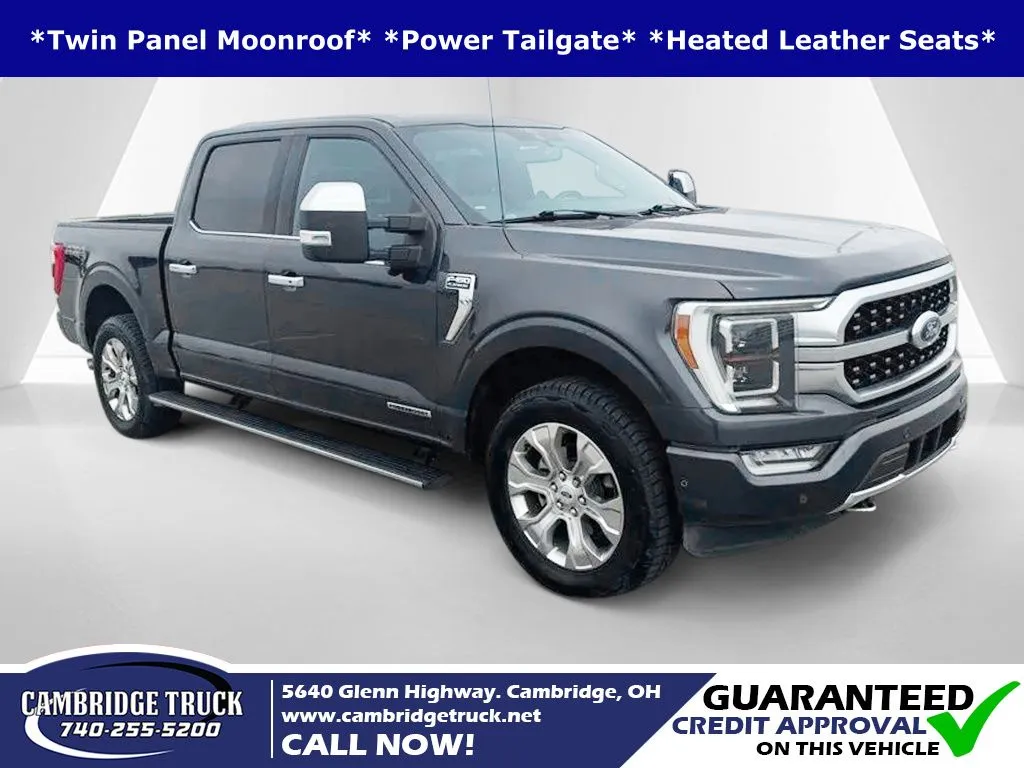 Gray 2021 Ford F-150 Platinum for sale in Cambridge, OH