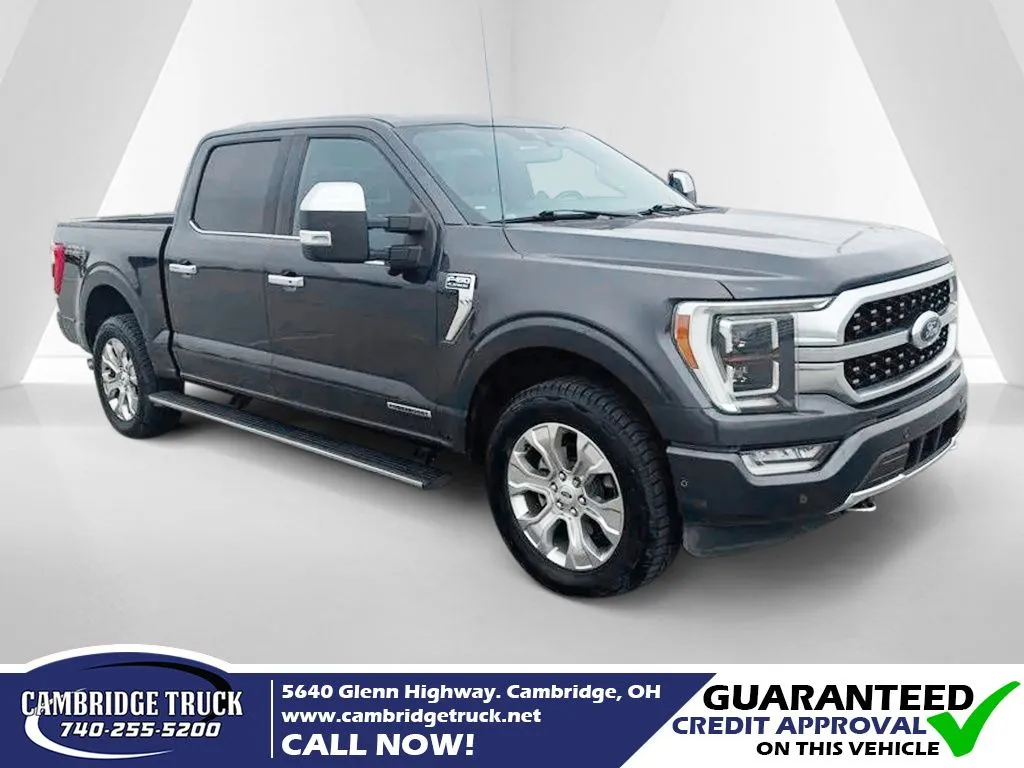 Gray 2021 Ford F-150 Platinum for sale in Cambridge, OH