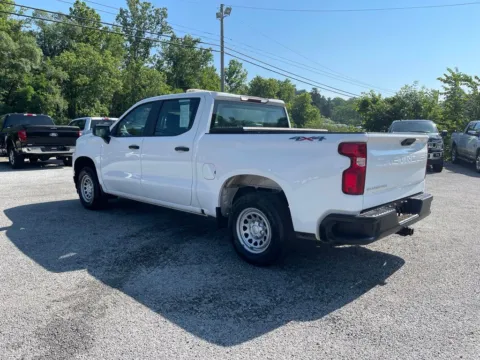 More photos of 2021 Chevrolet Silverado 1500 WT at Cambridge Truck, OH