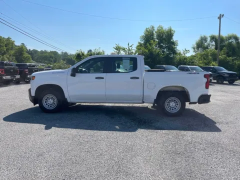 More photos of 2021 Chevrolet Silverado 1500 WT at Cambridge Truck, OH