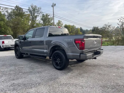 More photos of 2024 Ford F-150 STX at Cambridge Truck, OH