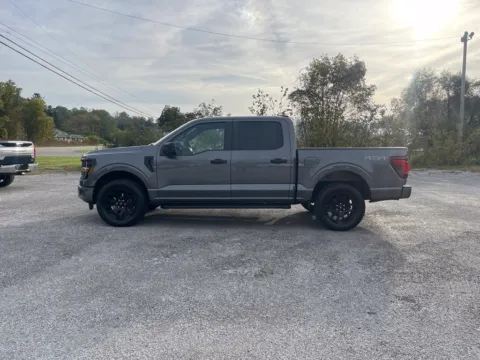 More photos of 2024 Ford F-150 STX at Cambridge Truck, OH