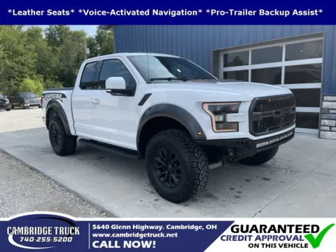 White 2017 Ford F-150 Raptor for sale in Cambridge, OH