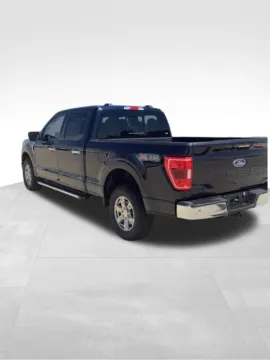 More photos of 2023 Ford F-150 XLT at Gregg Young Chevrolet Newton, IA