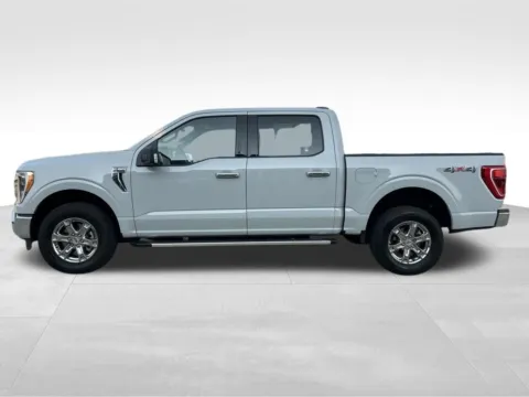 Another view of 2023 Ford F-150 XLT for sale in Newton, IA at Gregg Young Chevrolet Newton