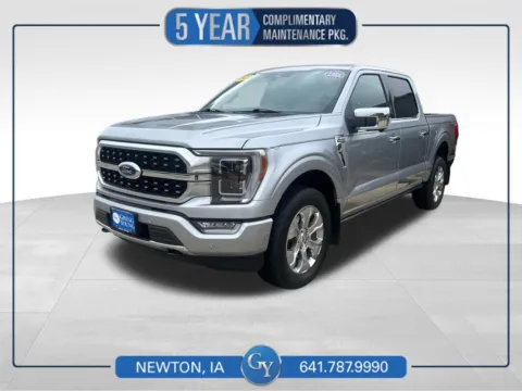 Silver 2022 Ford F-150 Platinum for sale in Newton, IA