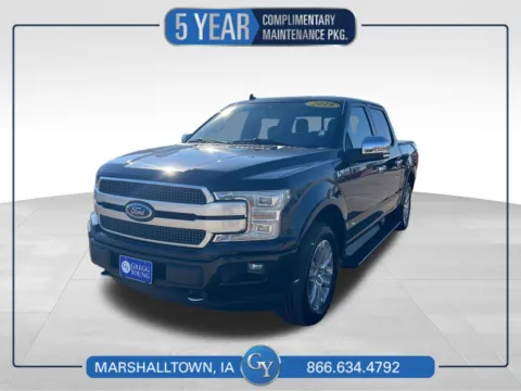 Black 2019 Ford F-150 Platinum for sale in Marshalltown, IA