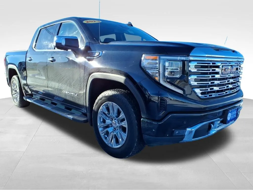 2023 Gmc Sierra 1500 Denali photo 3