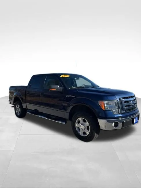 2010 Ford F-150 Platinum photo 3