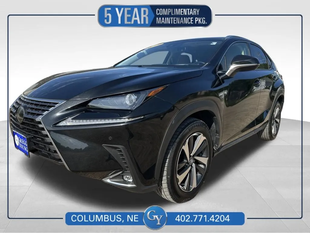 Black 2019 Lexus NX 300 Base for sale in Columbus, NE