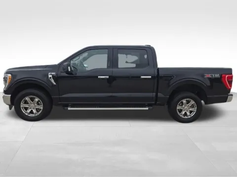 Another view of 2023 Ford F-150 XLT for sale in Newton, IA at Gregg Young of Newton