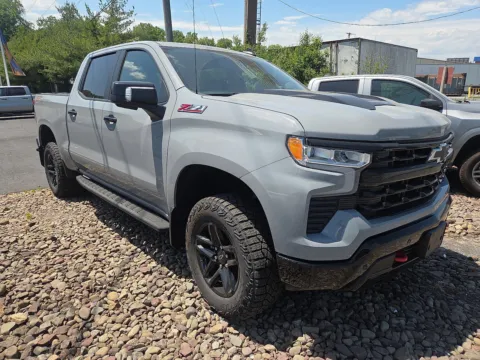 Gray 2024 Chevrolet Silverado 1500 LT Trail Boss for sale in Hamburg, PA