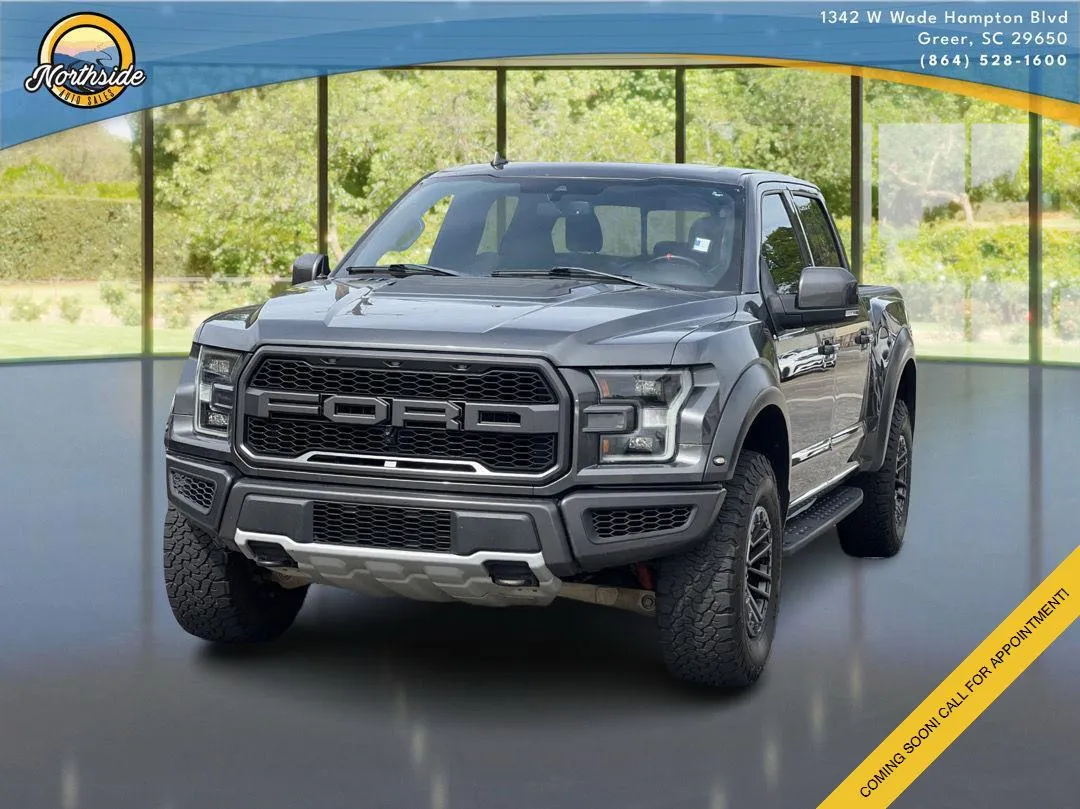 Gray 2019 Ford F-150 Raptor for sale in Greer, SC