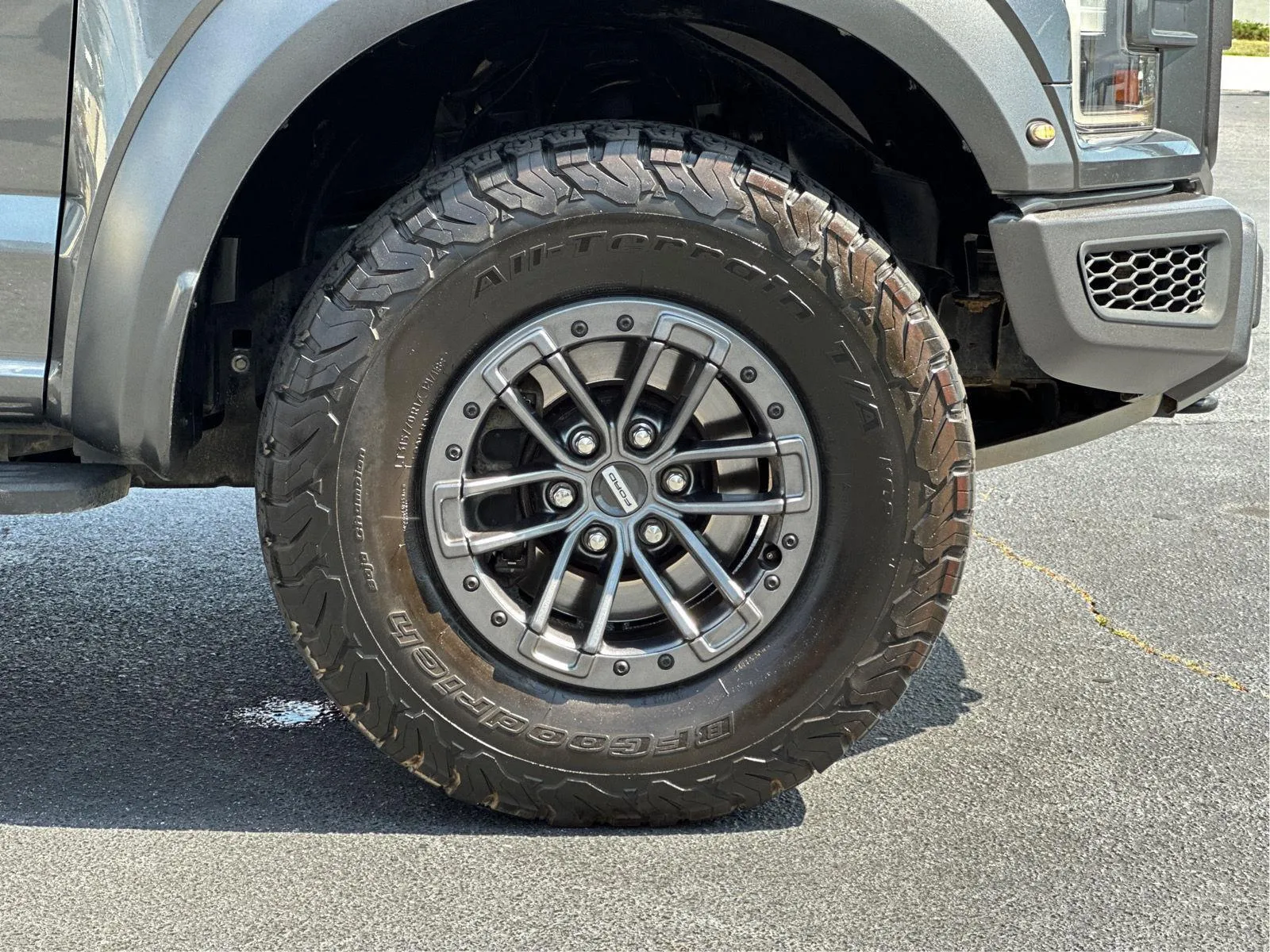 2019 Ford F-150 Raptor - Photo 26